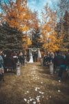 Wedding LUT Pack - The Lut Hut