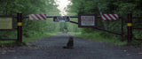 21 Film LUTS